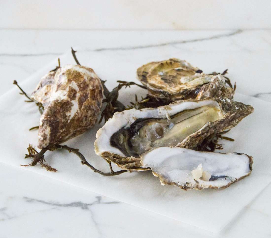 Rock Oysters