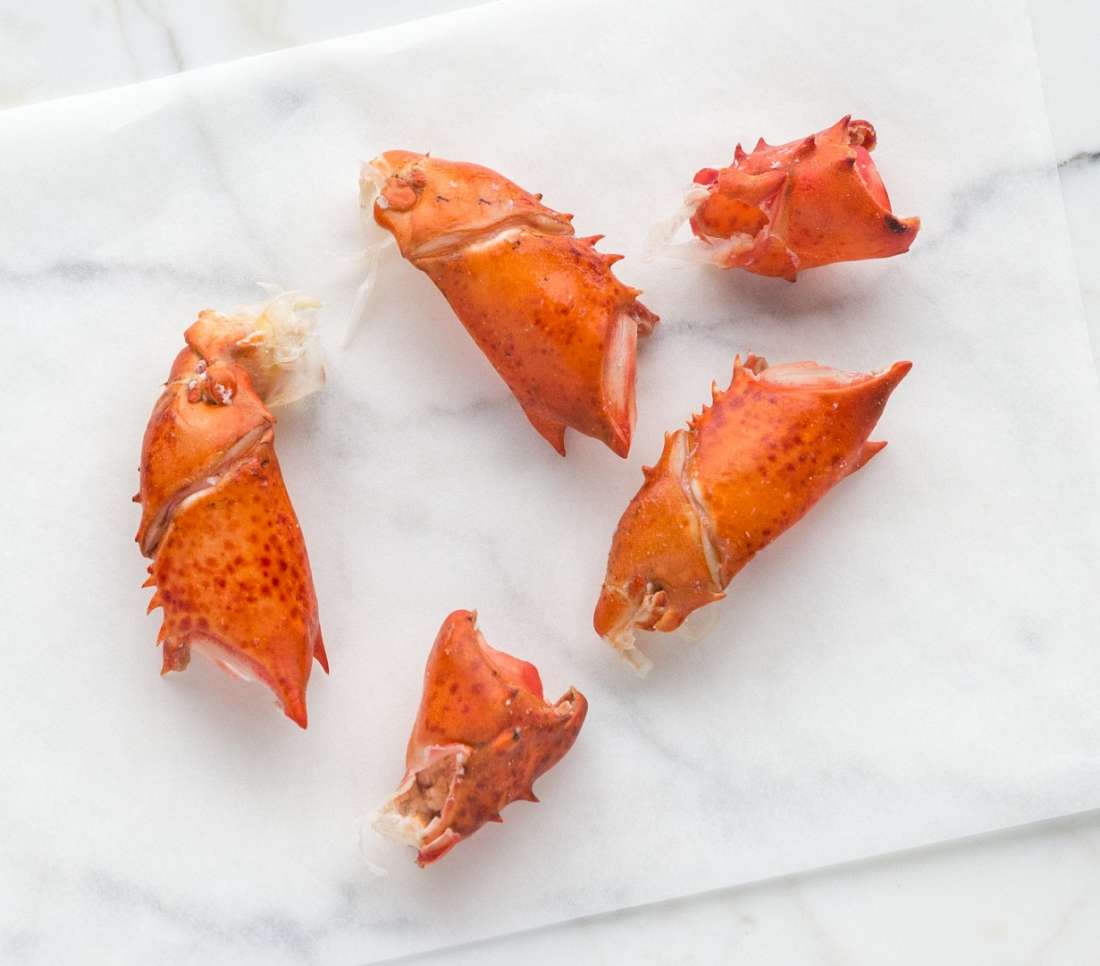 Lobster Shells