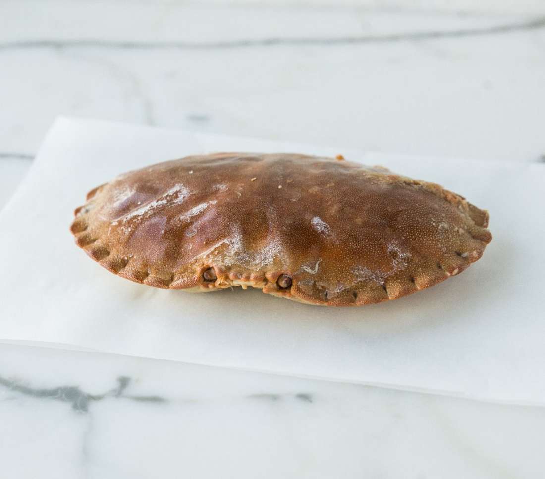 Dressed Crab