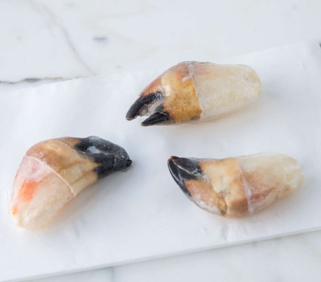 Baby Crab Claws