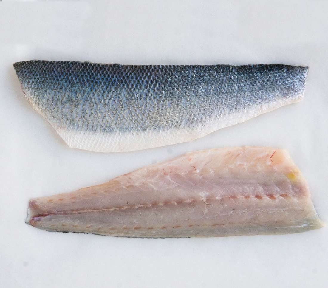 Sea Bass