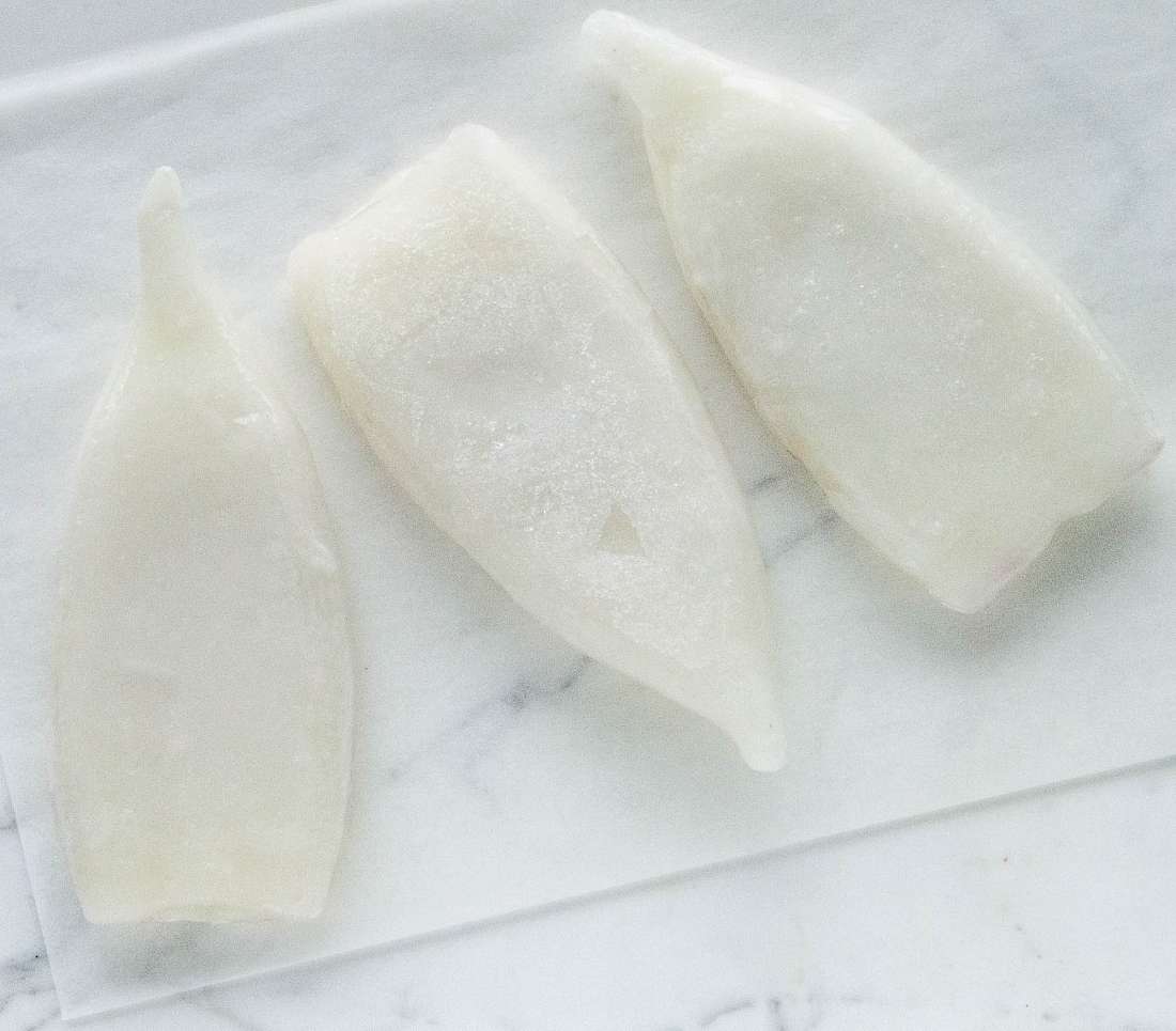 Squid - U5