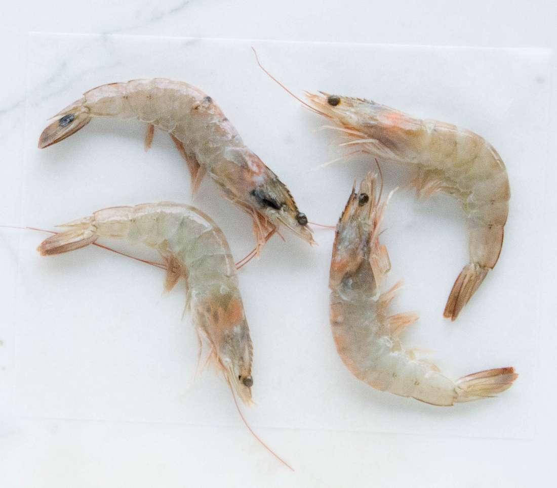 Tiger Prawns - Head On/Shell On - Raw