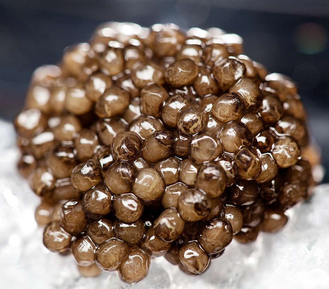 Great on a plate - Zwyer Caviar - Oscietra